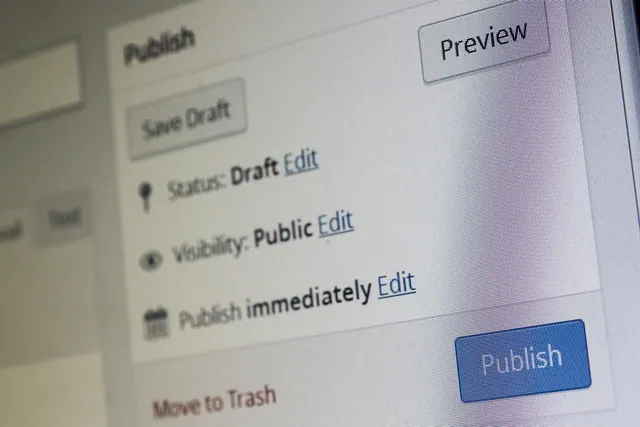 cms, wordpress, content management system, editorial staff, contents, web, internet, blog, upload, post office, media, comments, screen, content, create, write, publish, publicatio