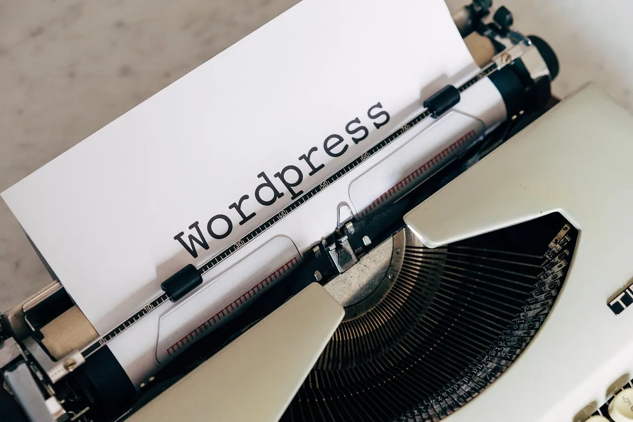 wordpress, blog, software, to blog, content management system, write, website, internet, editorial staff, web, publish, blogger, media, webdesign, publication, comments, content, p