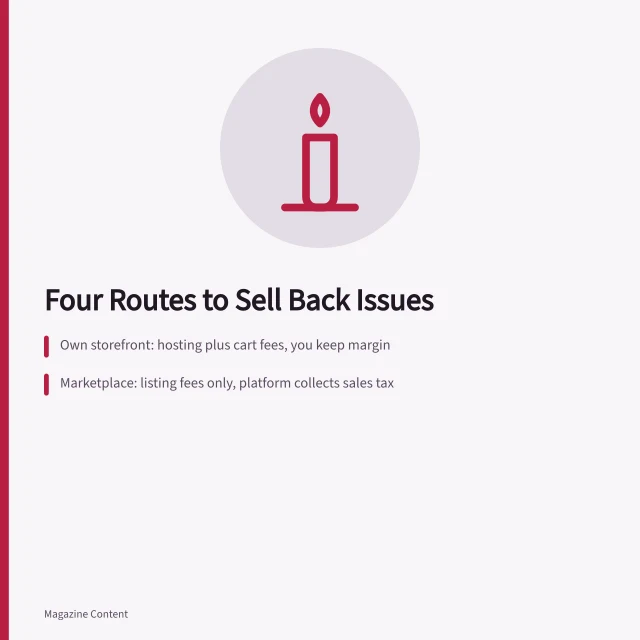 Comparison of four online routes for selling magazine back issues. Should You Sell Magazine Back Issues Online?