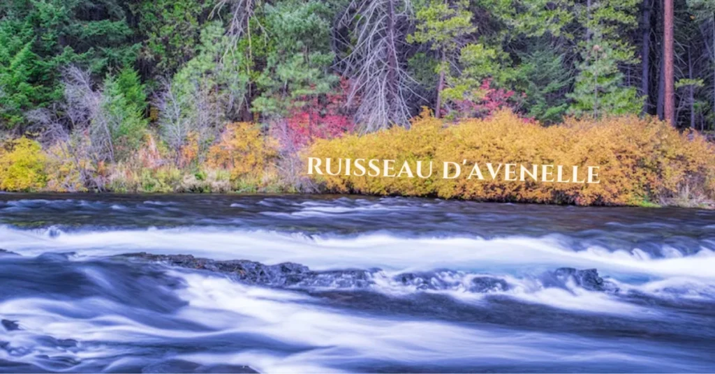 Ruisseau d’Avenelle: A Hidden Jewel of Gourmet Heritage
