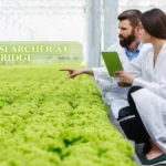 Arugula Researcher at Cambridge Explores Climate-Smart Farming