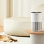 A Guide to Air Purifiers: Breathe Cleaner, Live Healthier